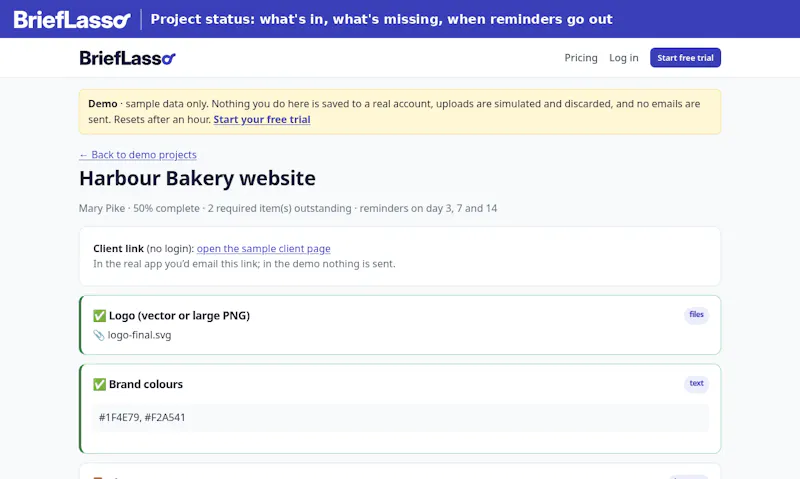 BriefLasso screenshot 2