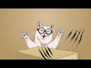 Keyboards and Cats gallery image