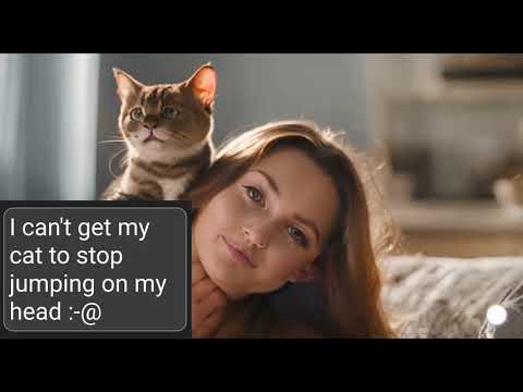 sadik.ai | A Friend You Can Personalize gallery image