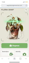 Plant identification and diagnosis gallery image