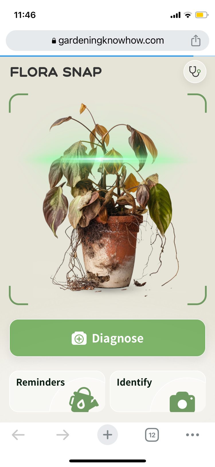 Média Identification et diagnostic des plantes - Florasnap: une application de plante rend votre plante saine 1