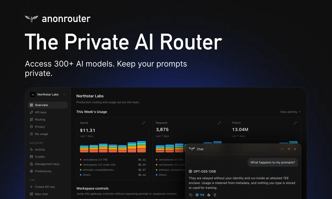 anonrouter 截图 1