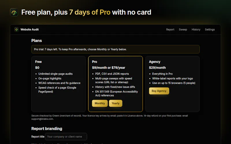 Website Audit screenshot 4