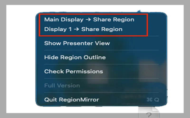 RegionMirror screenshot 2
