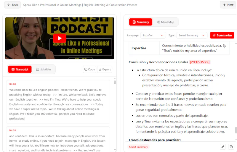 YouTube to Transcript AI screenshot 2
