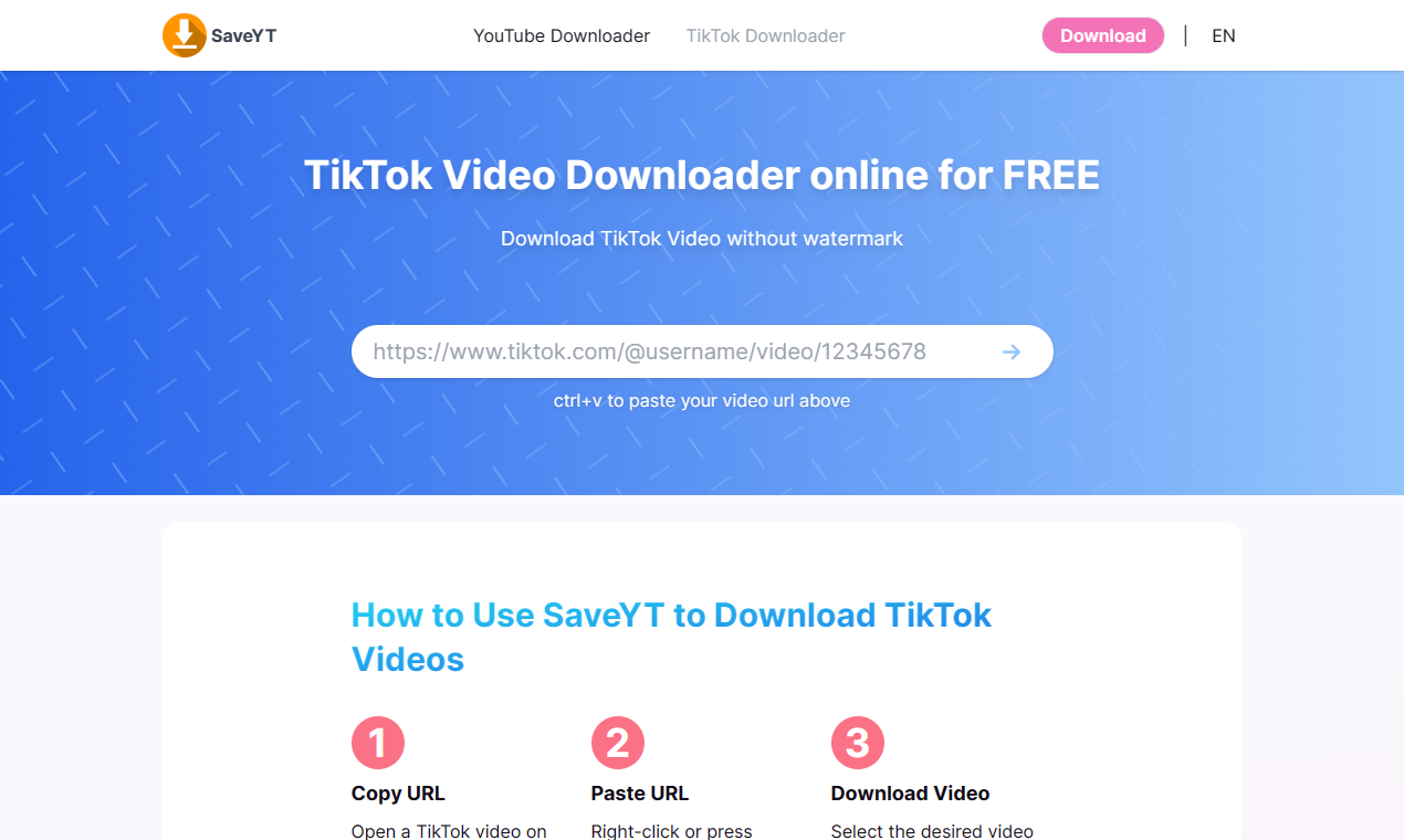 Saveyt - Free Online Video Downloader media 3