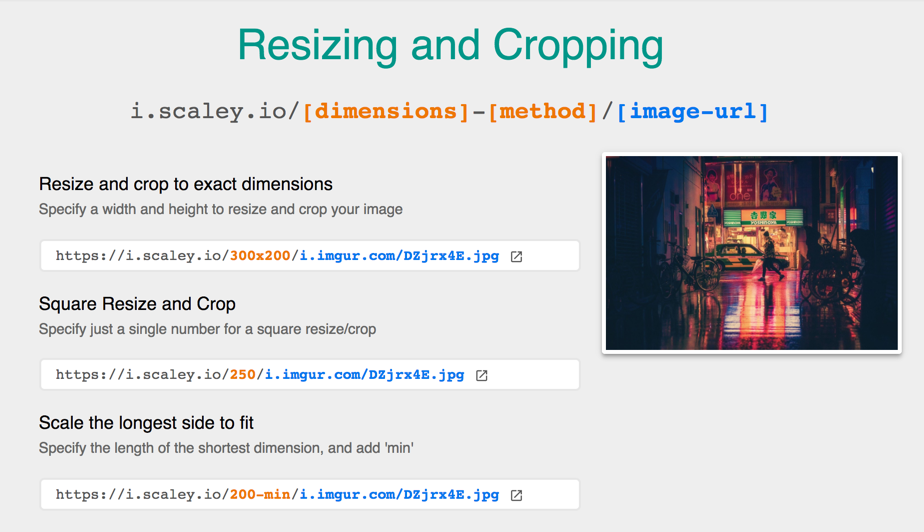Scaley gallery image