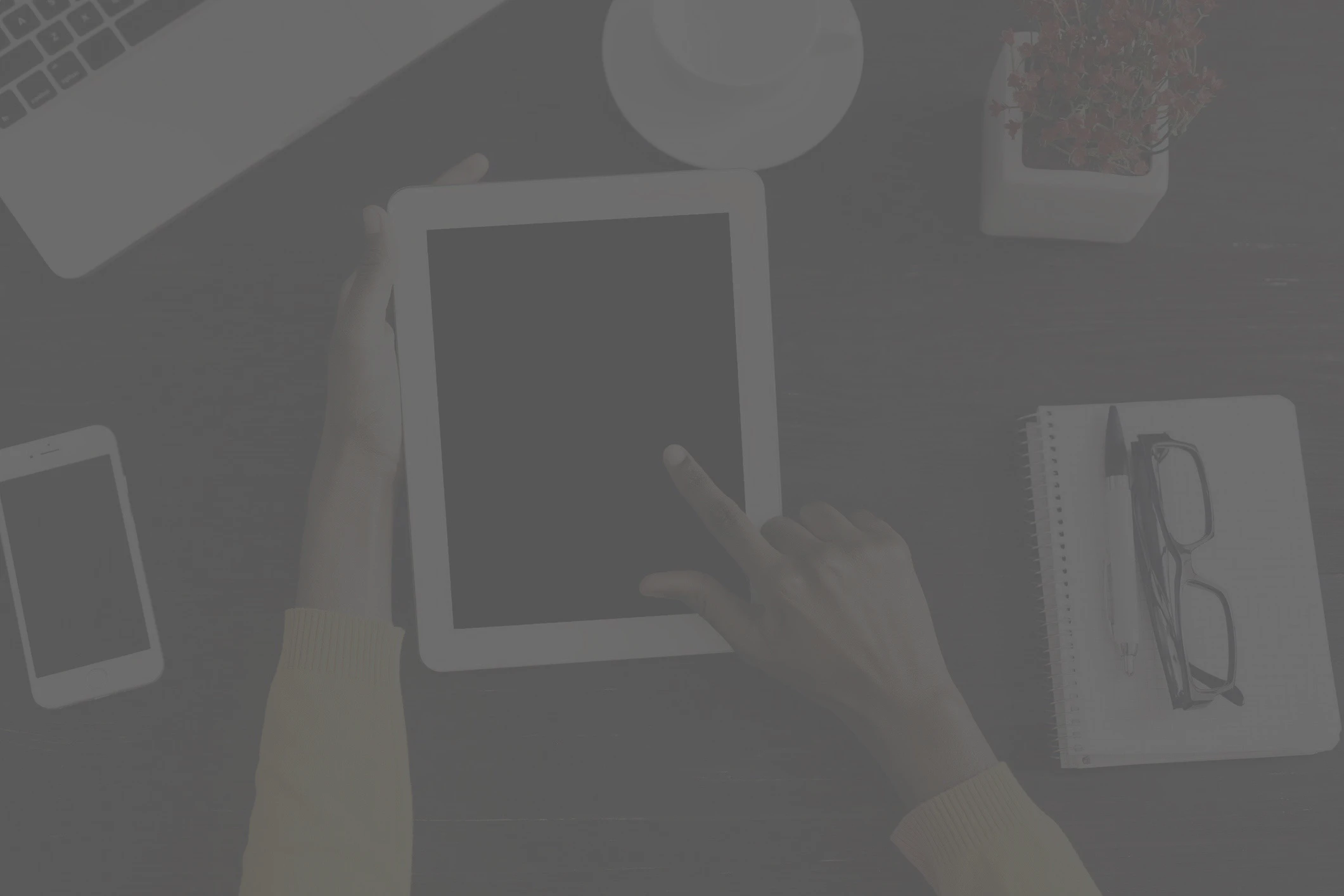 Shiloh Johnson cover