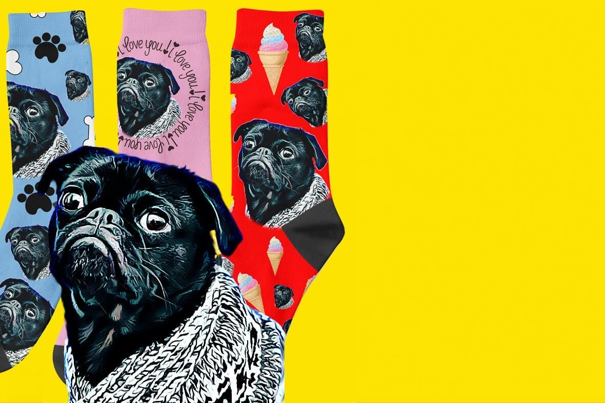 Dogs'n'Sox gallery image