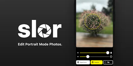 Slør gallery image