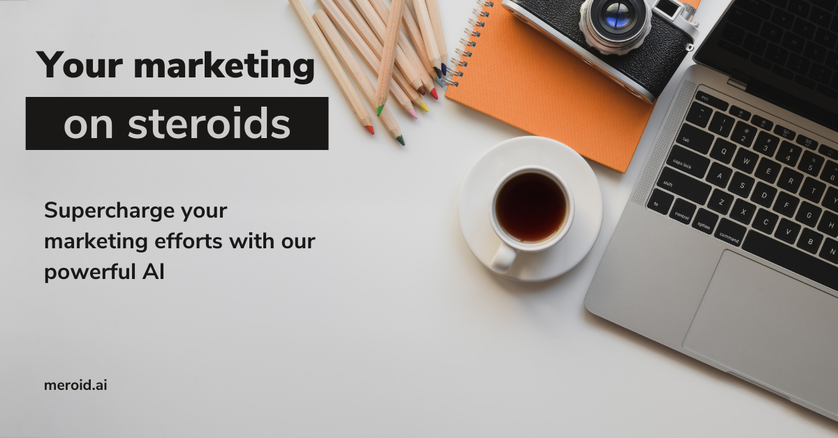 Meroid.ai gallery image