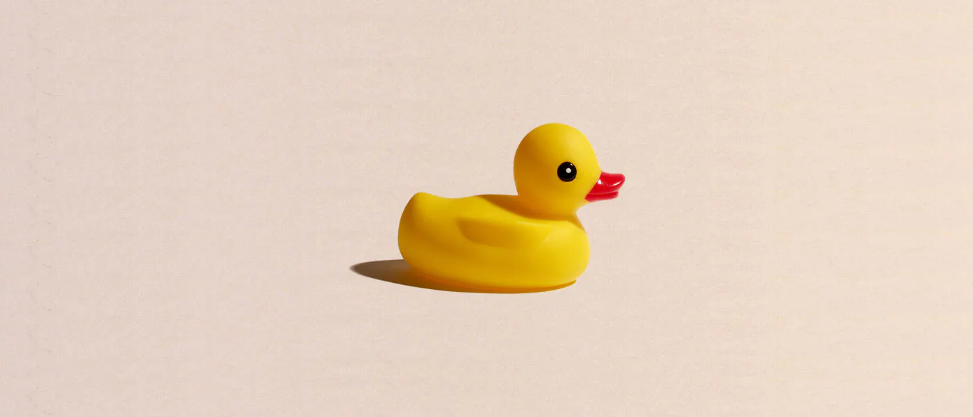 Remote Duck
