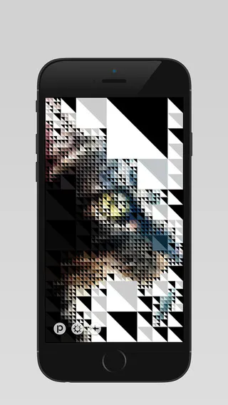 Pixl gallery image