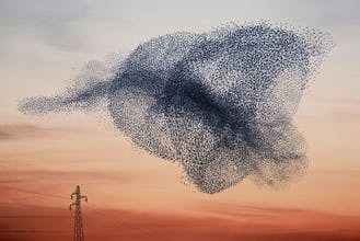 Probably Approximately Correct gallery image