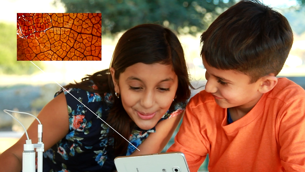 ScopeAround gallery image