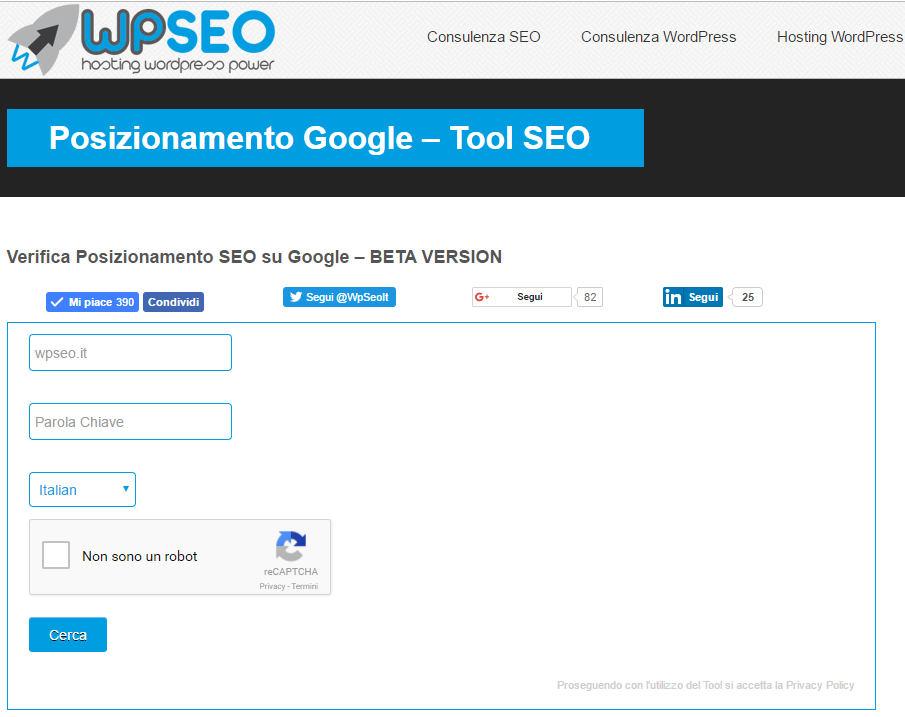 Posizionamento Motori Ricerca | WpSEO.it gallery image