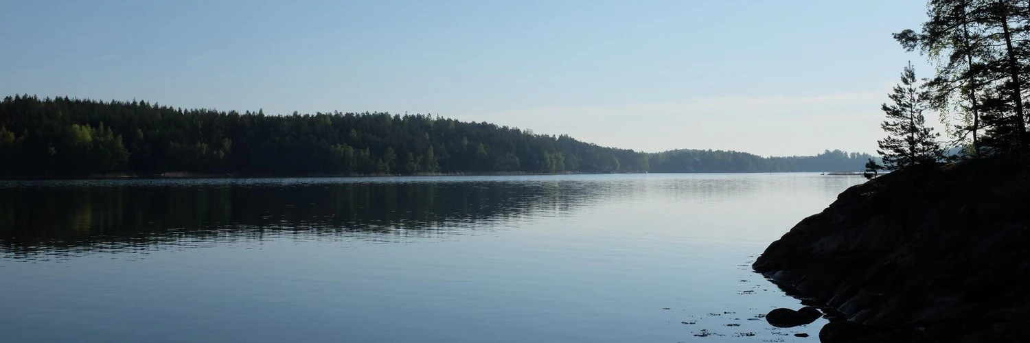 Juho Vepsäläinen cover