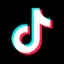 TikTok Transcript Scraper