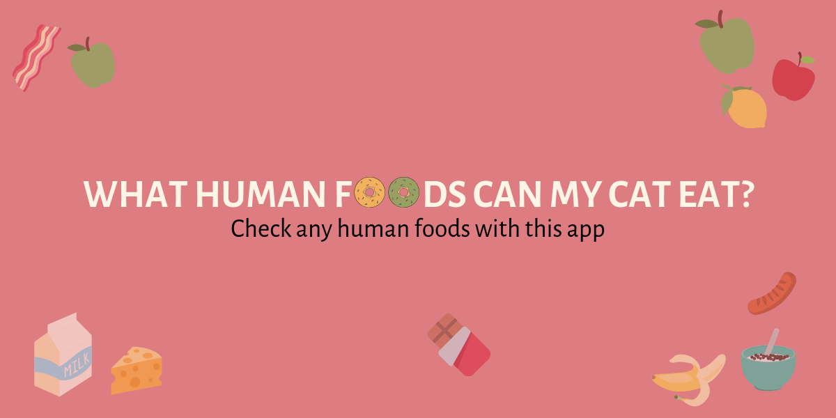 Foods Cats Can Eat gallery image