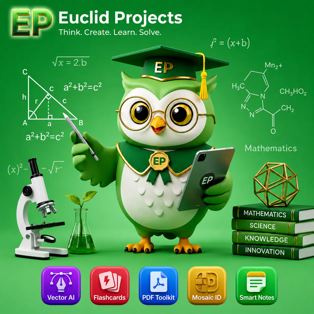 Euclid Projects gallery image