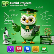 Euclid Projects gallery image