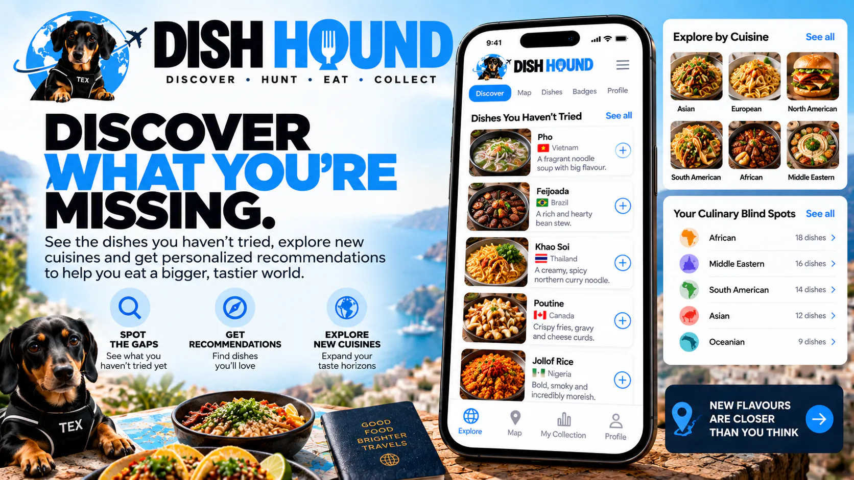 Dish Hound gallery image