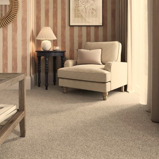 Carpets Online
