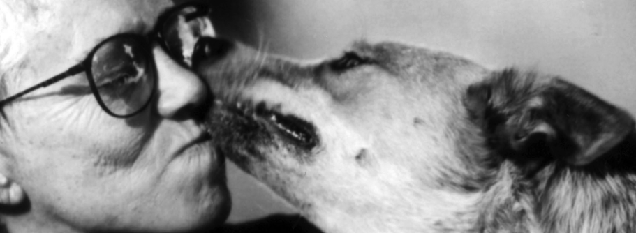 The Old Way gallery image