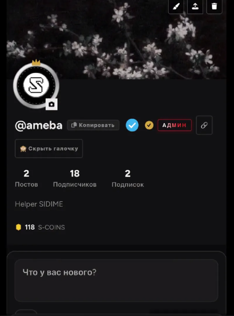 SIDIME screenshot 3