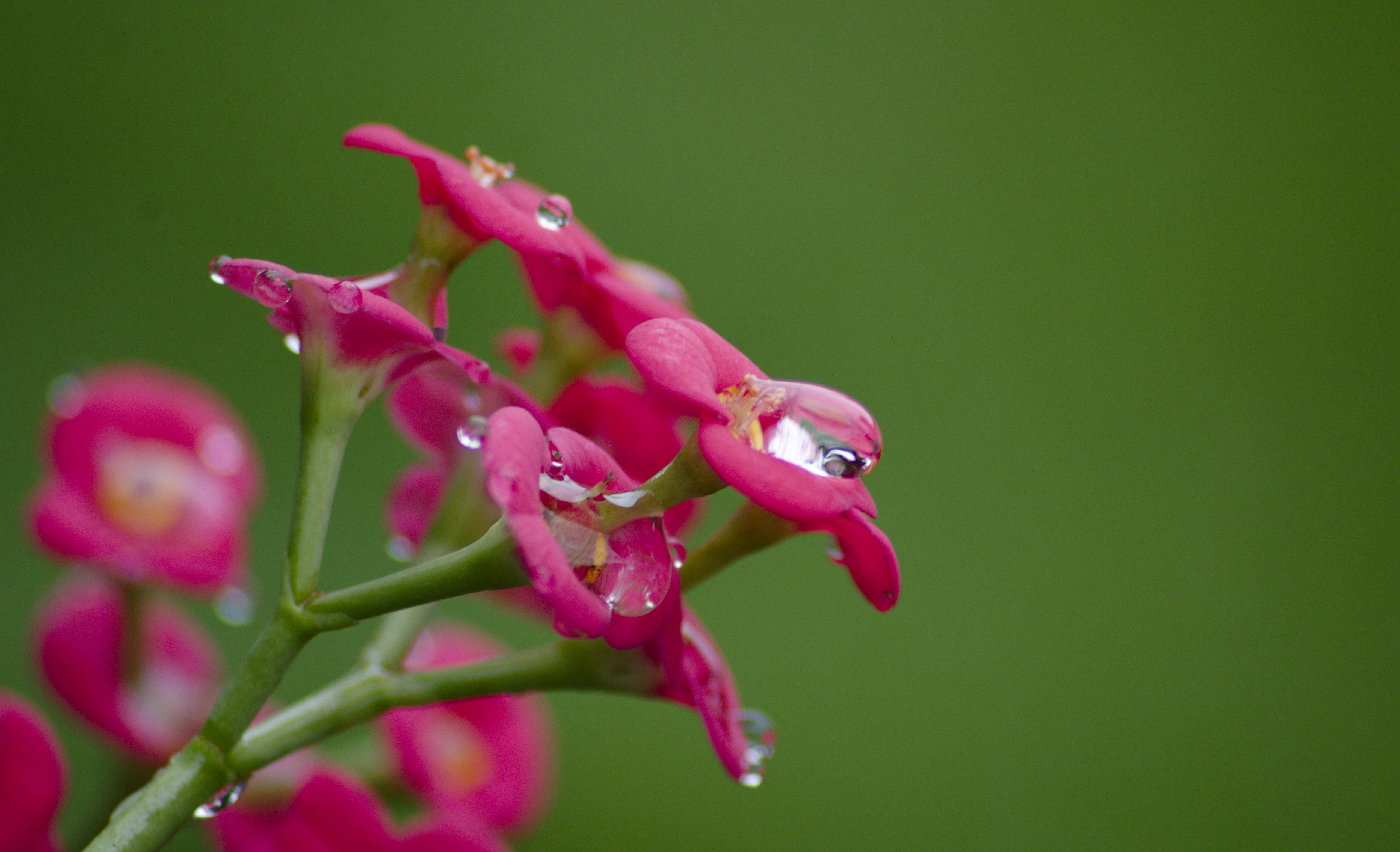 Enoch RobotBoy-Appiah Junior cover