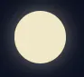 Moonie