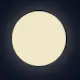 Moonie