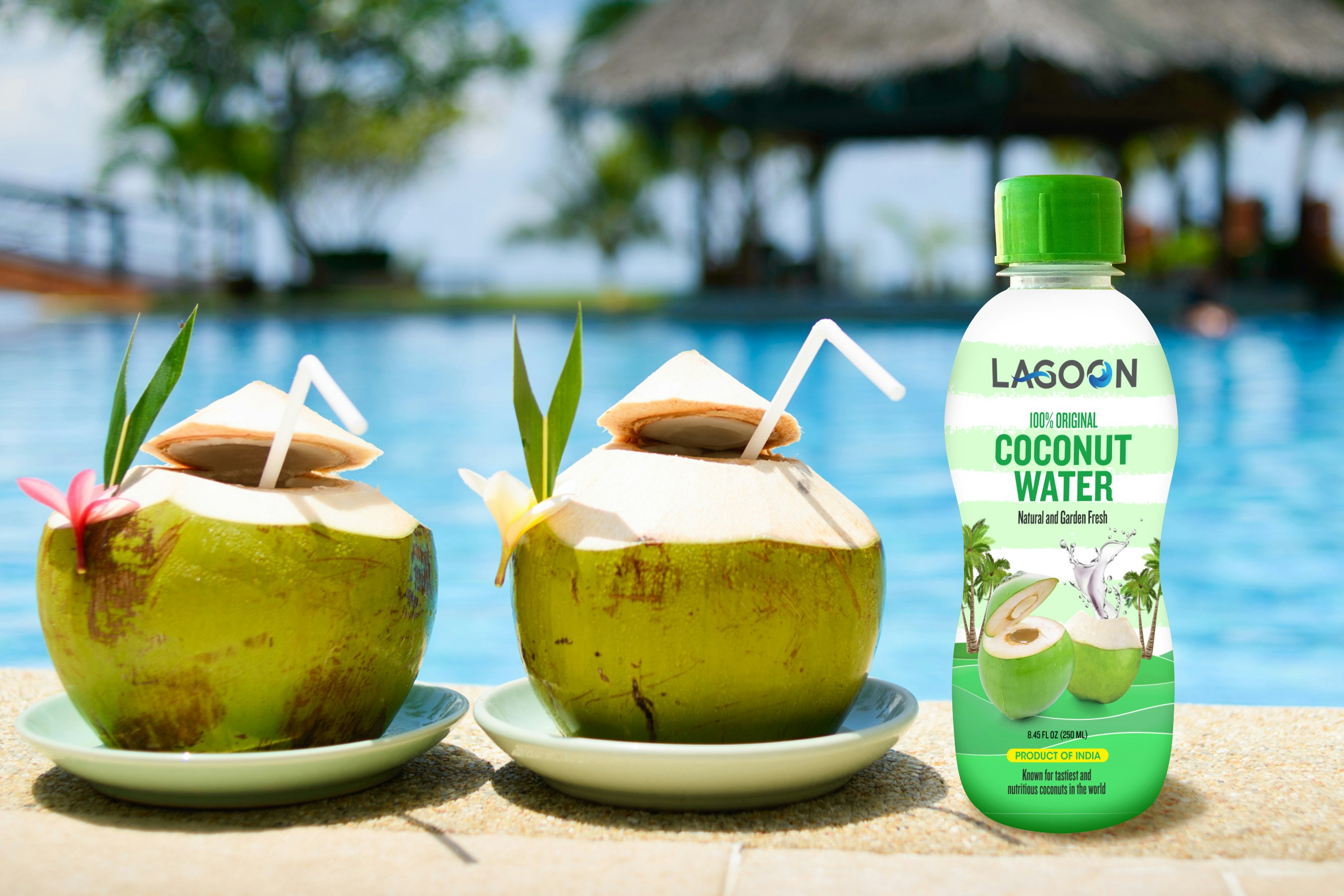 Creative Packaging Design gallery image