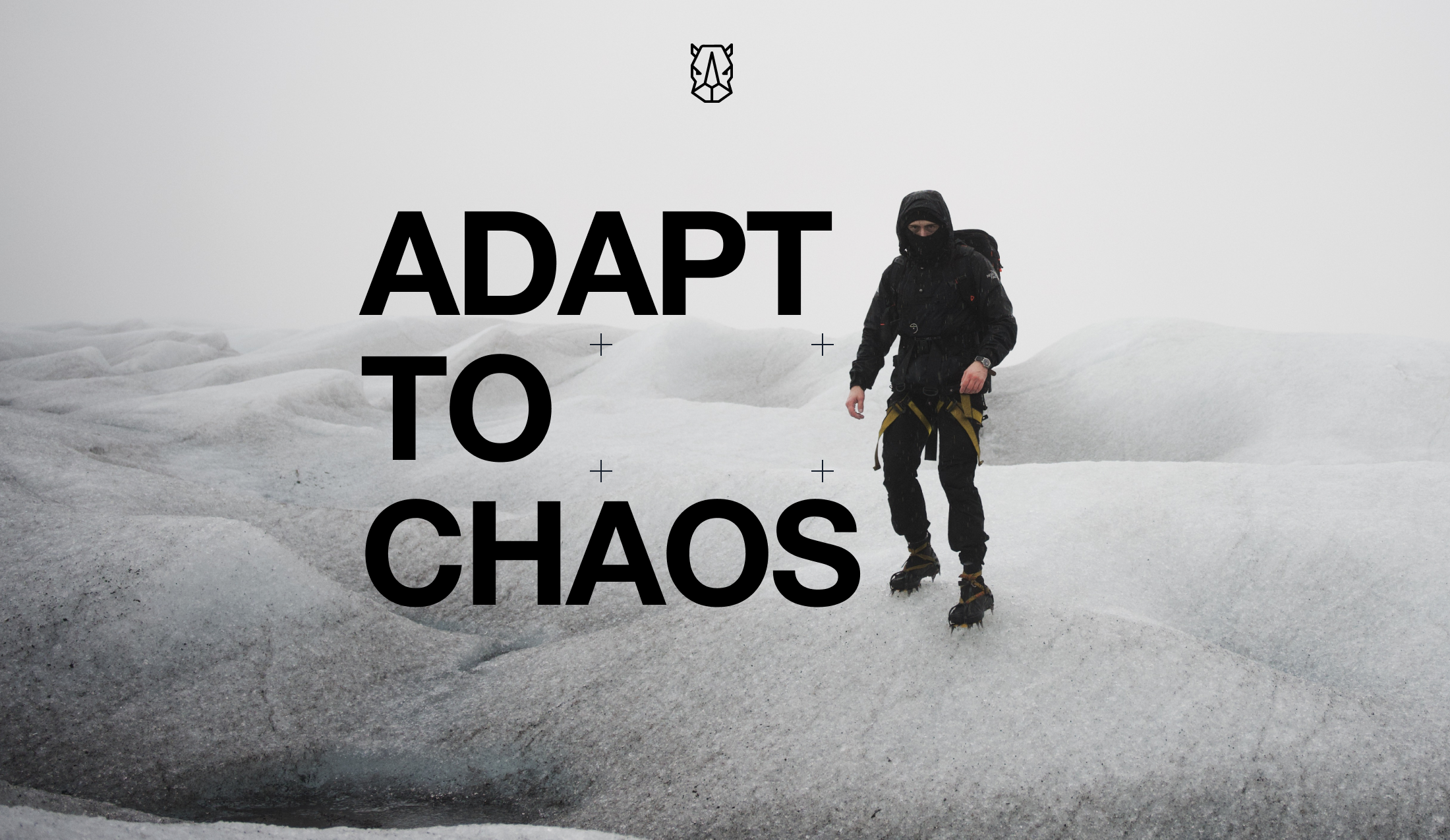 Rhino Rdy: The Modular Field System