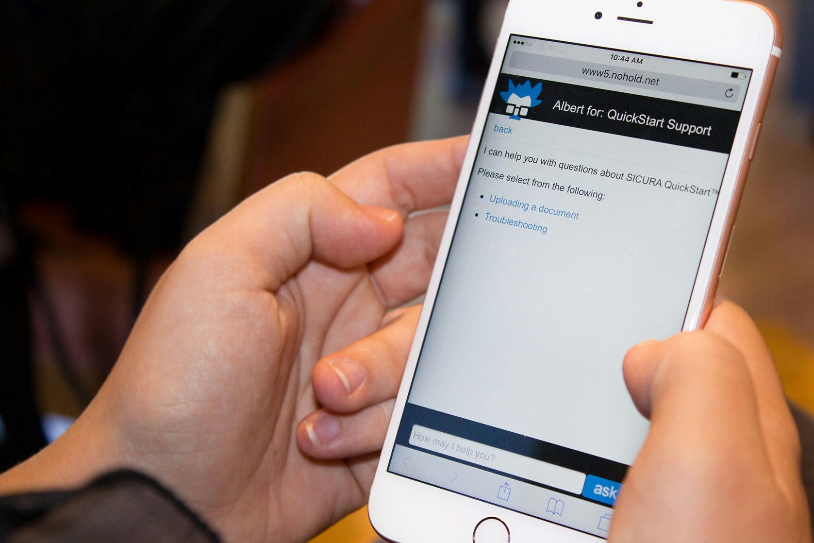 Albert gallery image