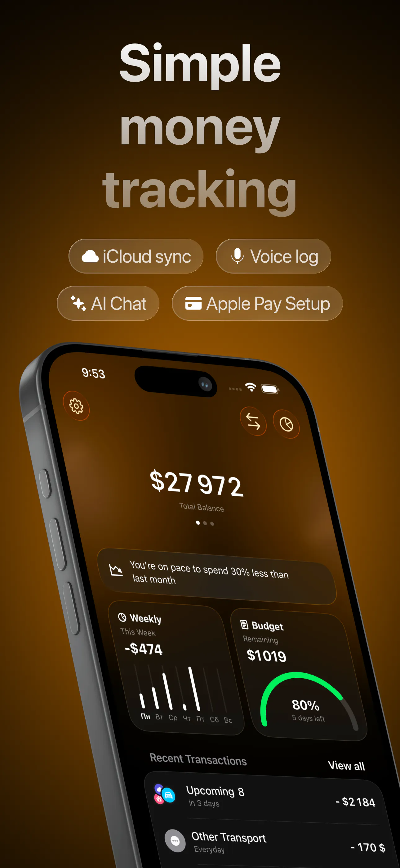 Lode – AI Expense Tracker gallery image