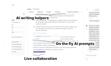 axcent gallery image