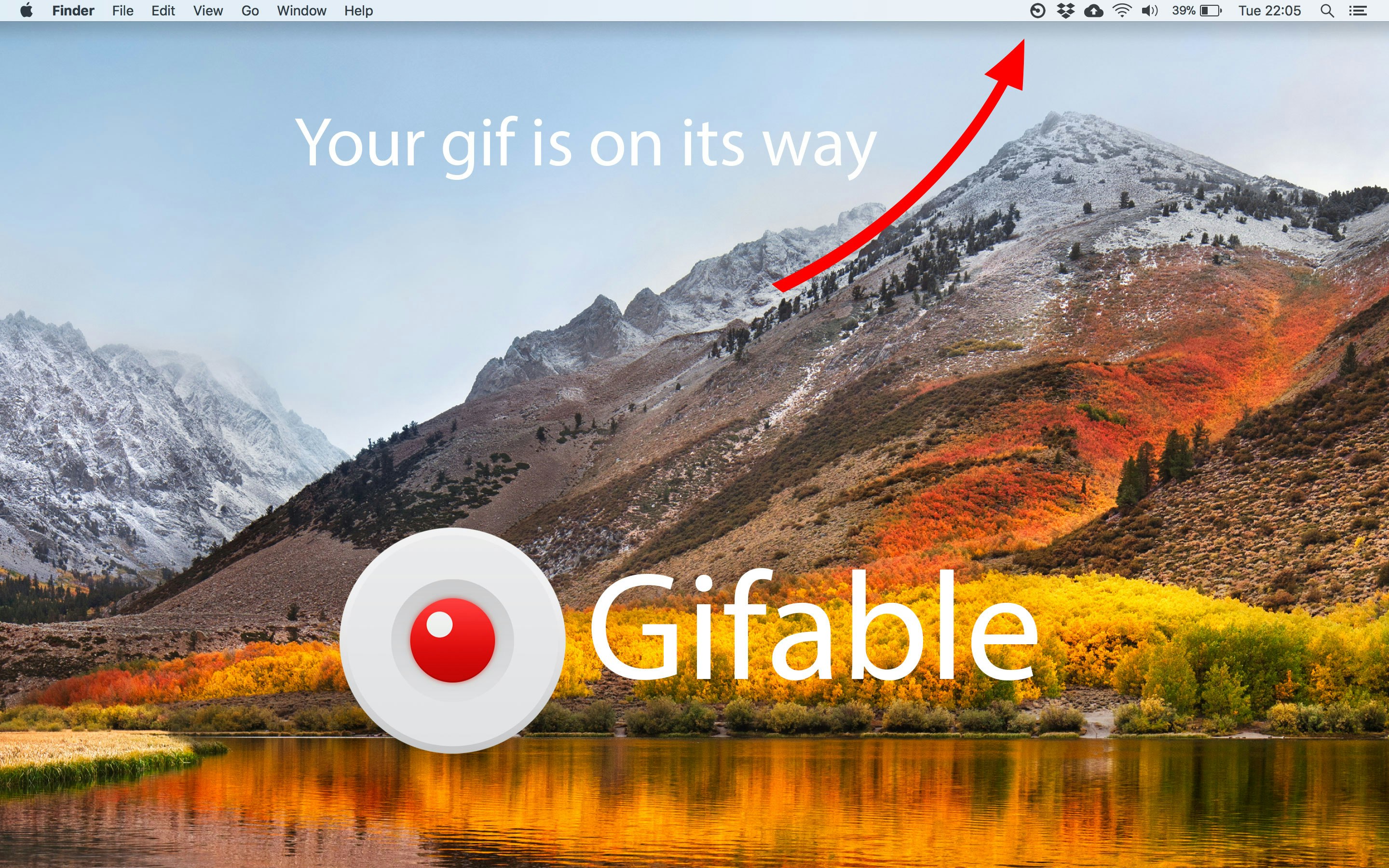 Gifable gallery image