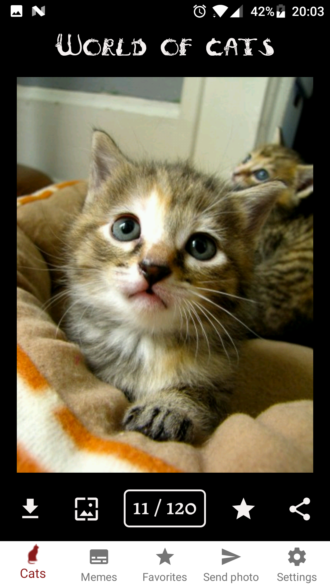 World of Cats gallery image