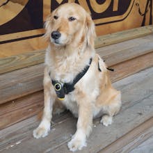 MySight360 gallery image