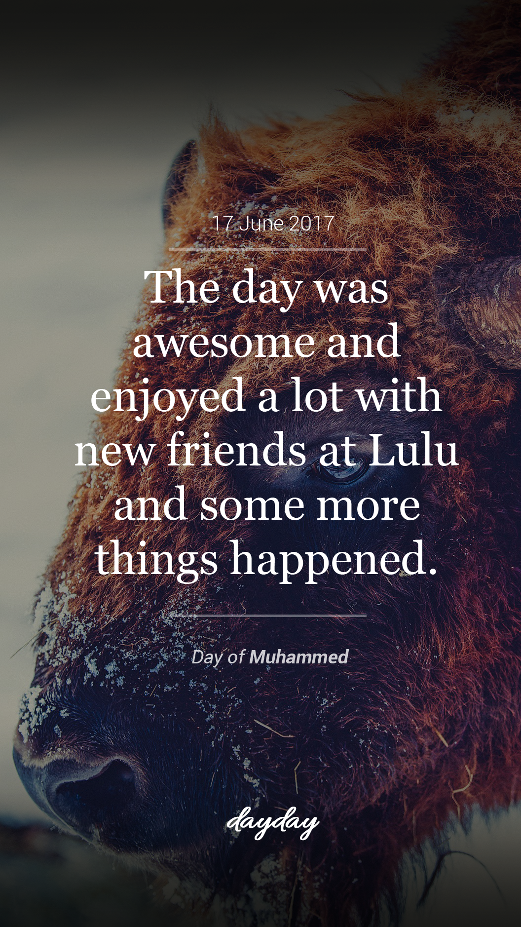 Dayday gallery image