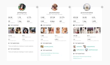 Get Insights of any Instagram profile gallery image