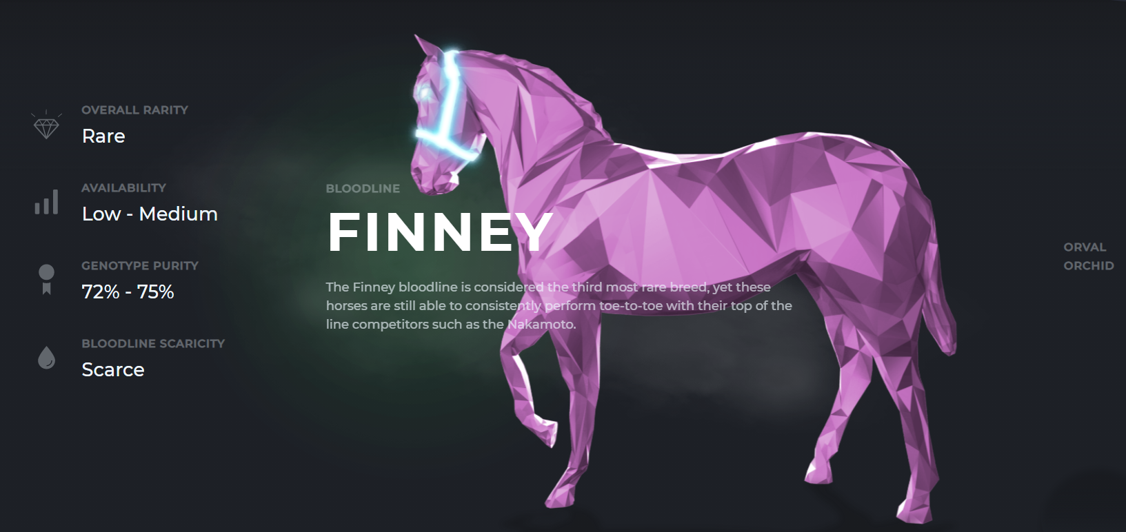 Zed Run NFT horse racing game breed, race, and collect Product Hunt