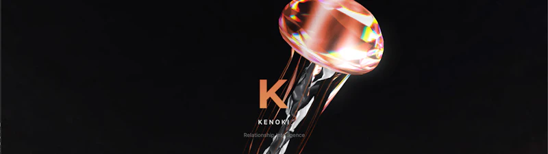 Kenoki screenshot 1