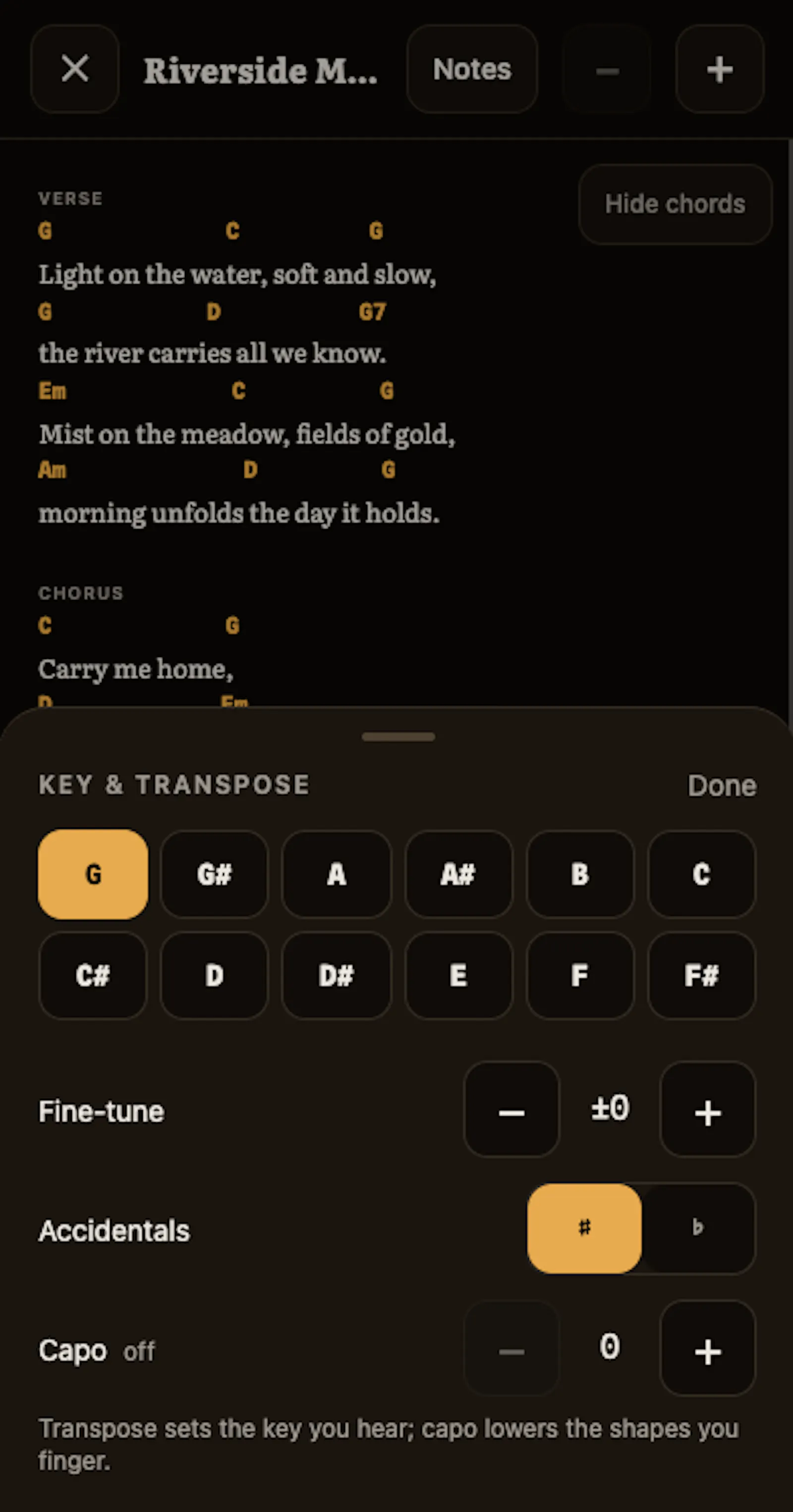 aChordion screenshot 6
