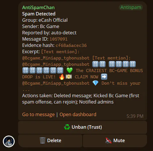 Anti-Spam Chan gallery image