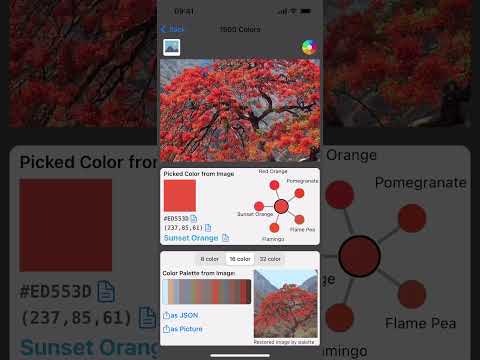 Color Name Recognizer Camera gallery image