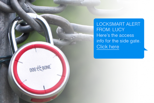 Lock Smart gallery image