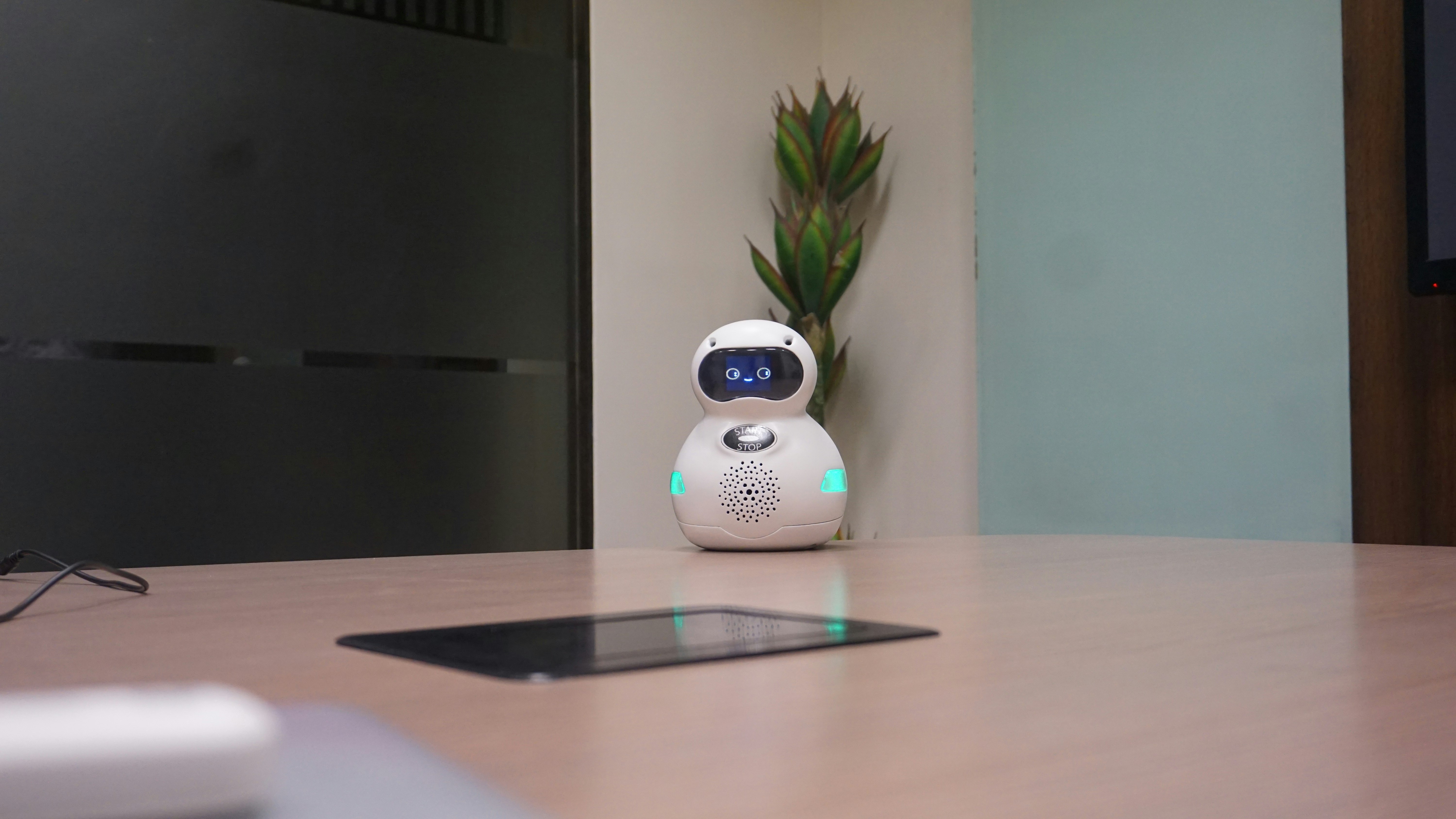 Pleymon gallery image