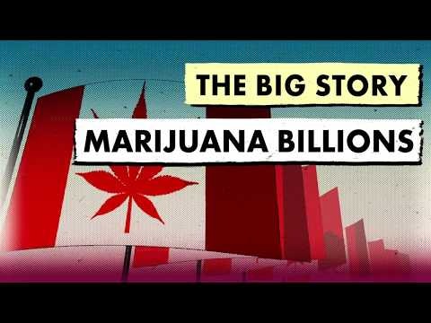 Real Vision gallery image